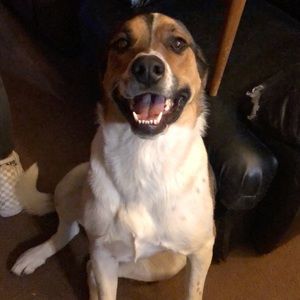 Meet your Posher, Ben